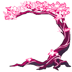 İtem 14