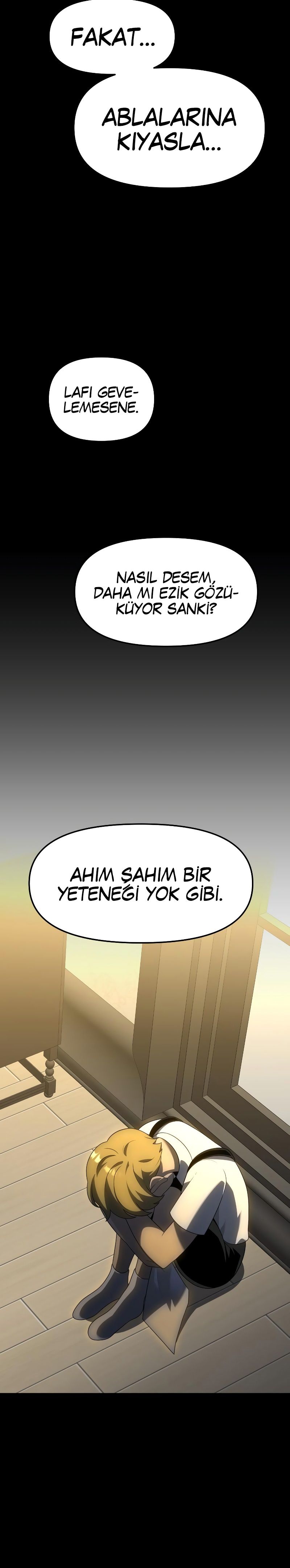 Sayfa 17