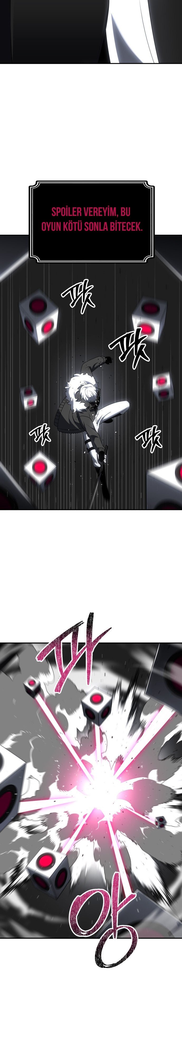 Sayfa 13