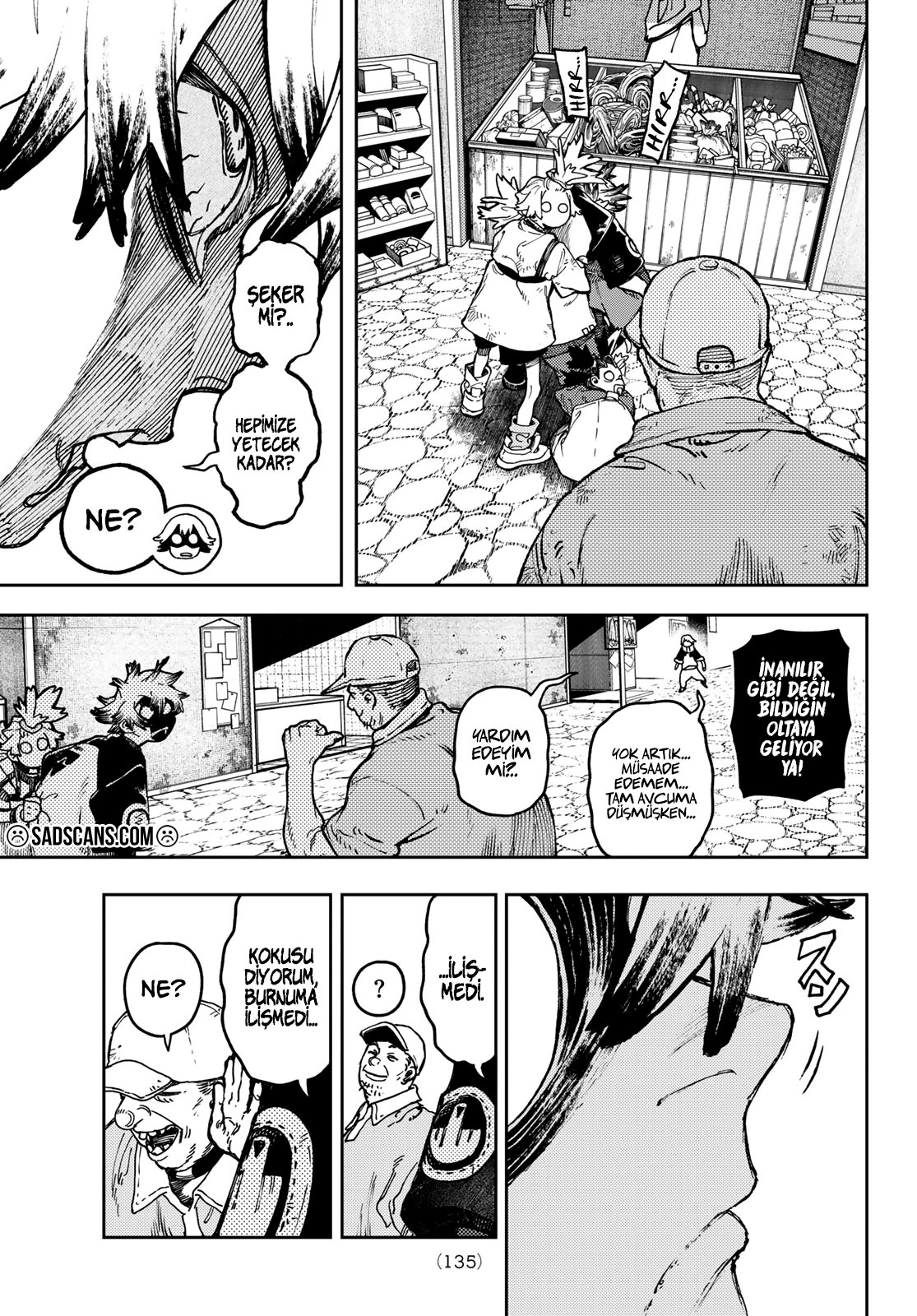 Sayfa 17