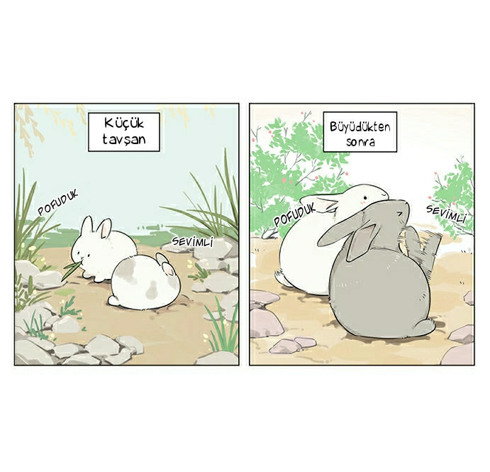 Sayfa 4