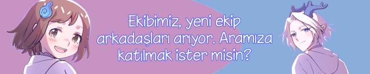 Sayfa 17